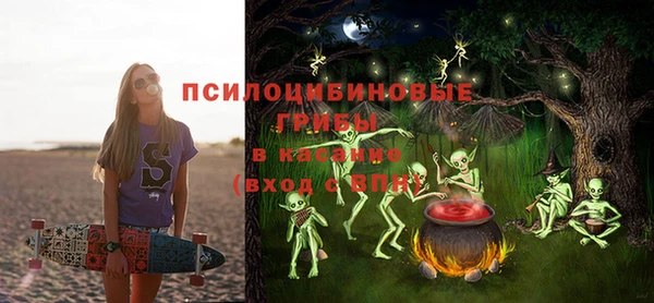 эйфоретик Алзамай