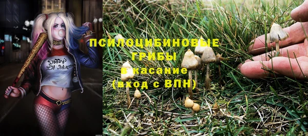 трава Алексеевка