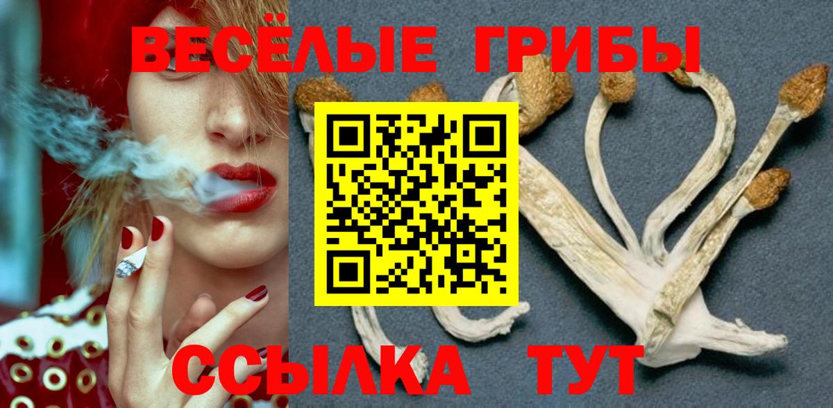 Псилоцибиновые грибы Magic Shrooms Бердск