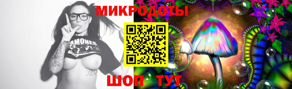 Галлюциногенные грибы Magic Shrooms  Псилоцибиновые грибы мухоморы  Вход с VPN  Бердск 